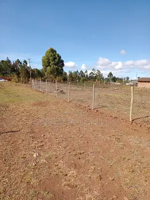 1/8 Plot Rolyton With Title