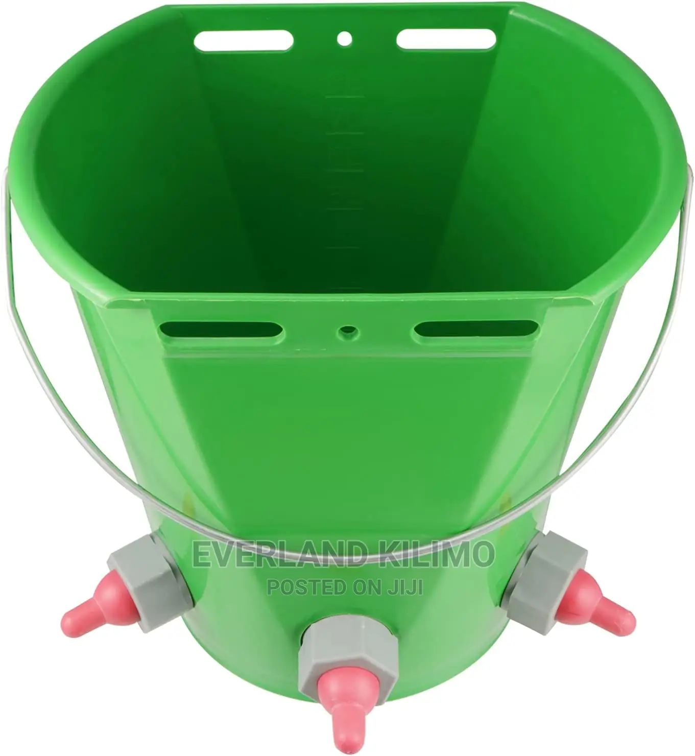 Bucket With Nipples- Lambs