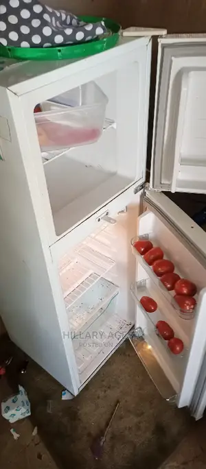 Fridge Repair Services