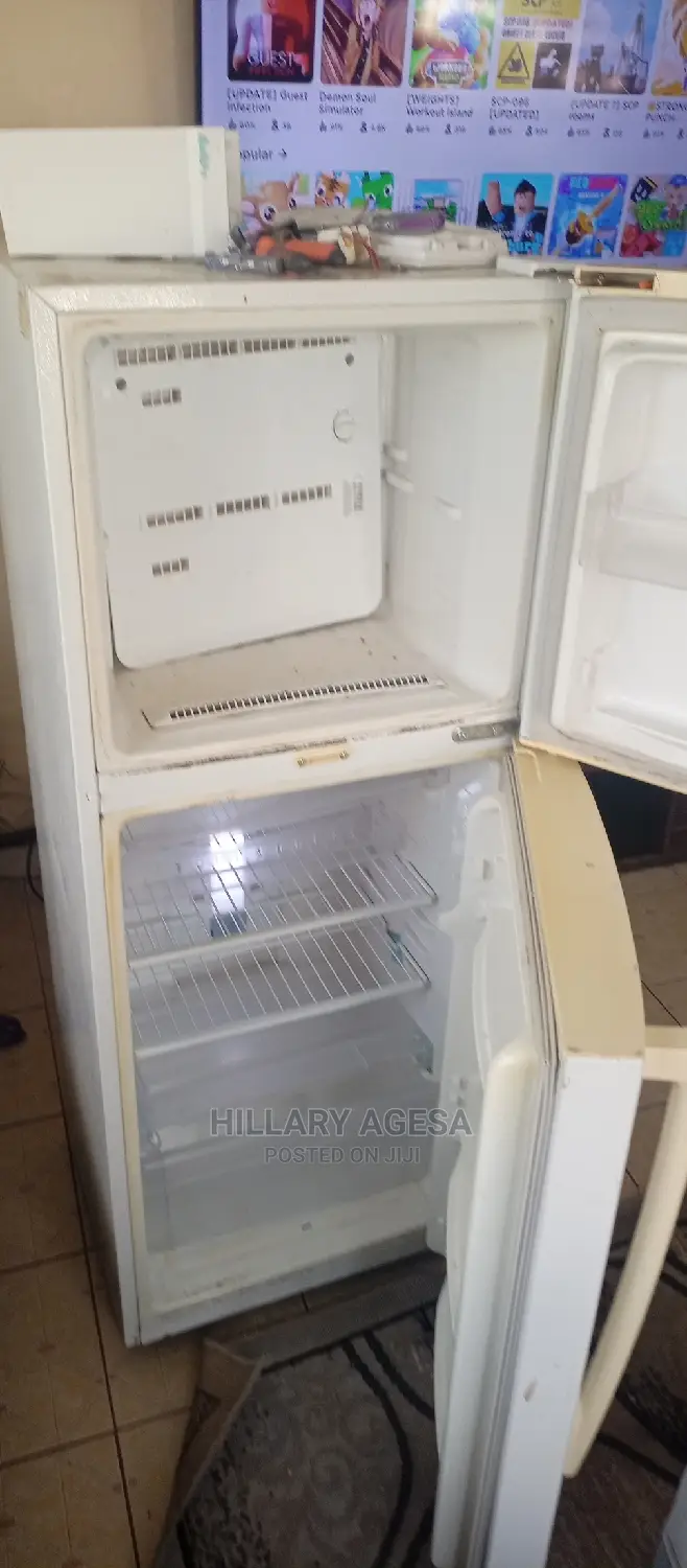 Fridge Repair Services