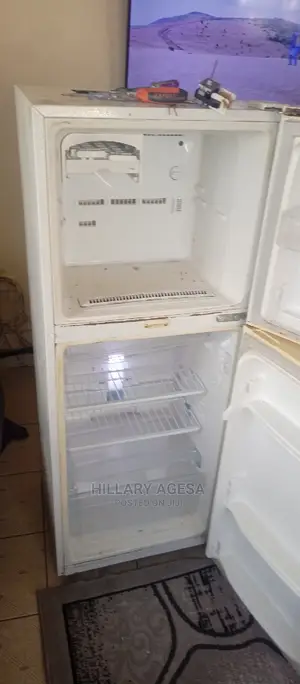 Fridge Repair Services