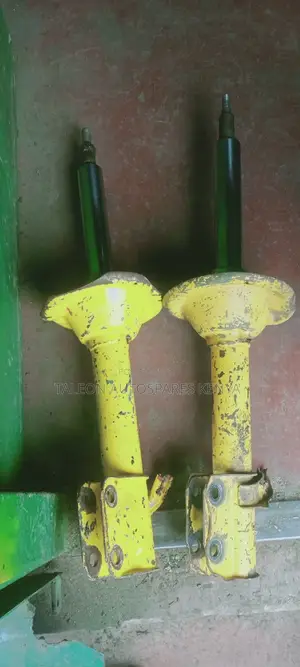 Subaru Rear Blistain Shocks