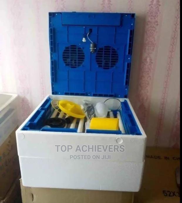 128 Egg Quality Incubator - main view