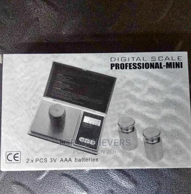 Professional Scale Modern