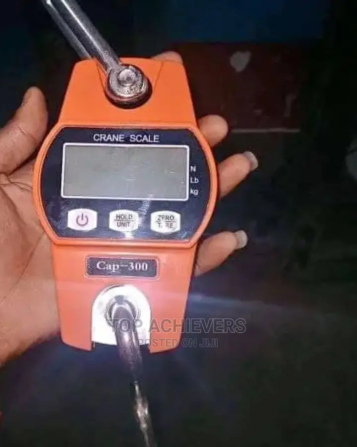 300kg Modern Hanging Scale