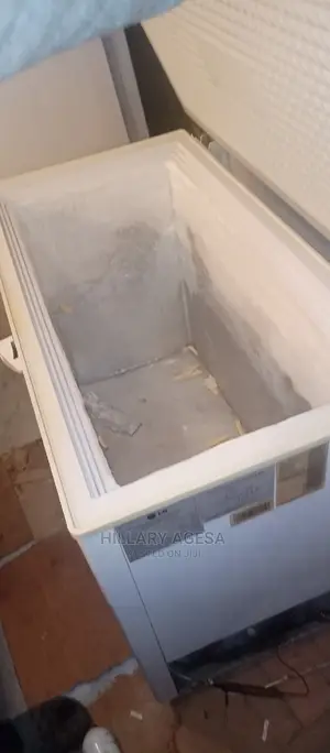Freezer Repair Services