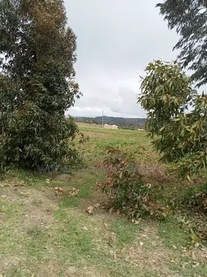 Plot on Sale at Naivasha Ihindu