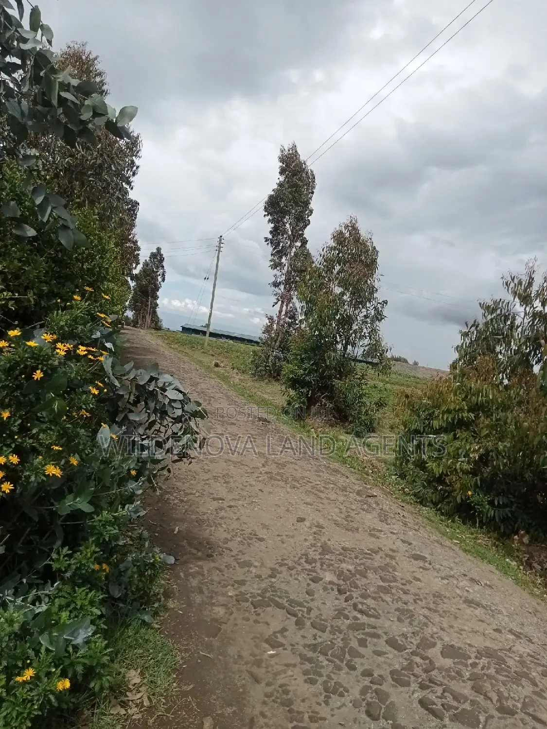 Plot on Sale at Naivasha Ihindu