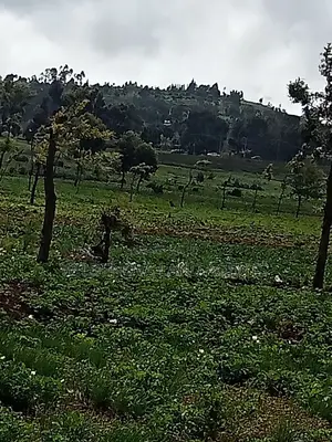 Plot on Sale at Naivasha Ihindu