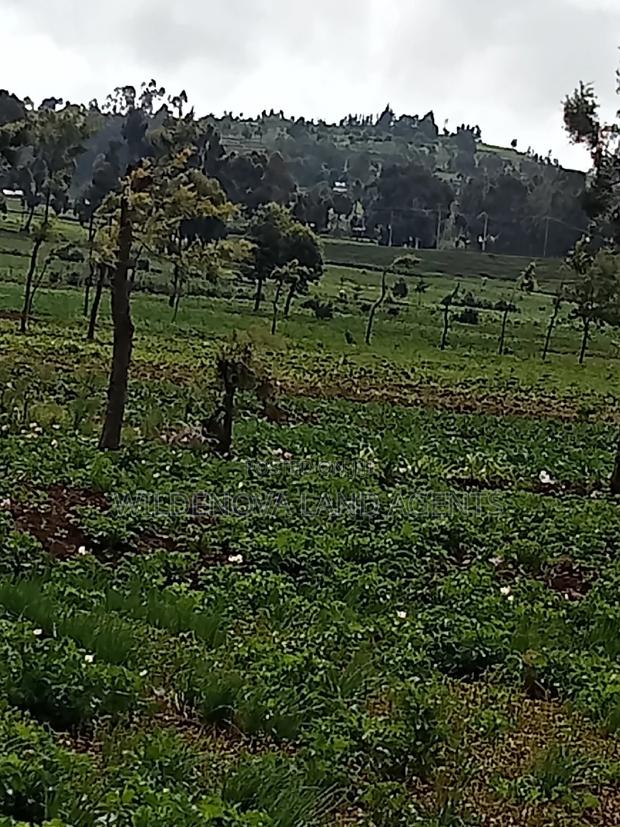 Plot on Sale at Naivasha Ihindu - thumbnail 6