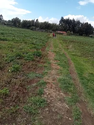 Plot on Sale at Naivasha Ihindu