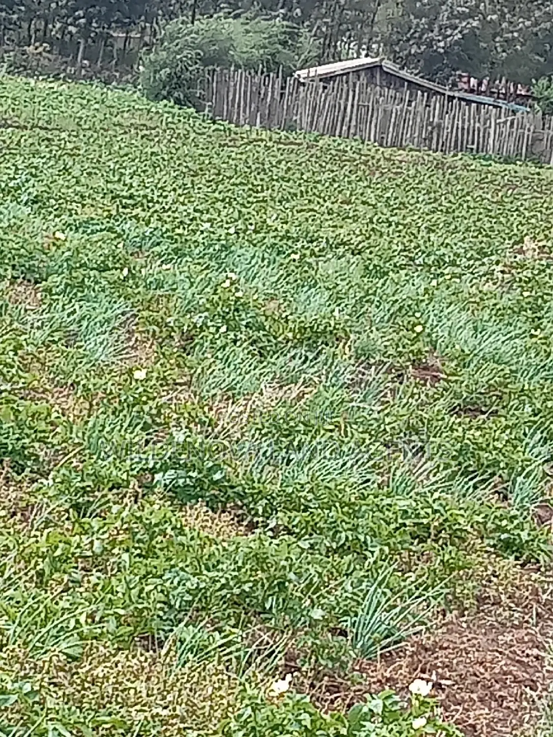 Plot on Sale at Naivasha Ihindu
