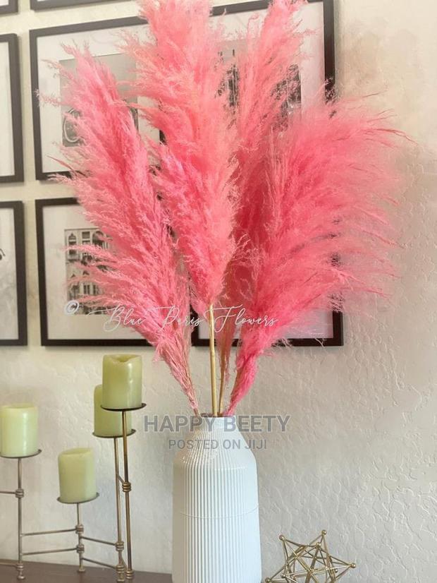 Decorative Pampers Grass