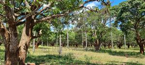 A Prime 8 Acre Land on Sale at Mtwapa - thumbnail 2