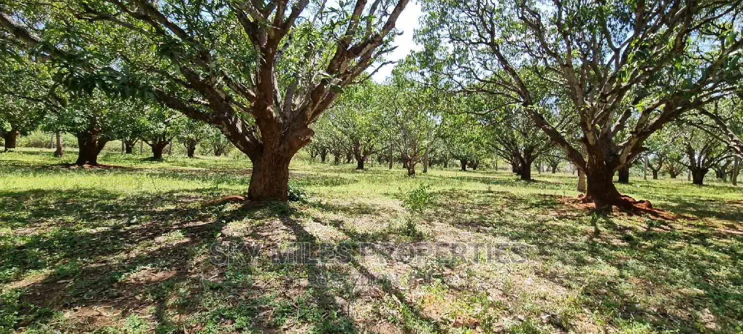 A Prime 8 Acre Land on Sale at Mtwapa