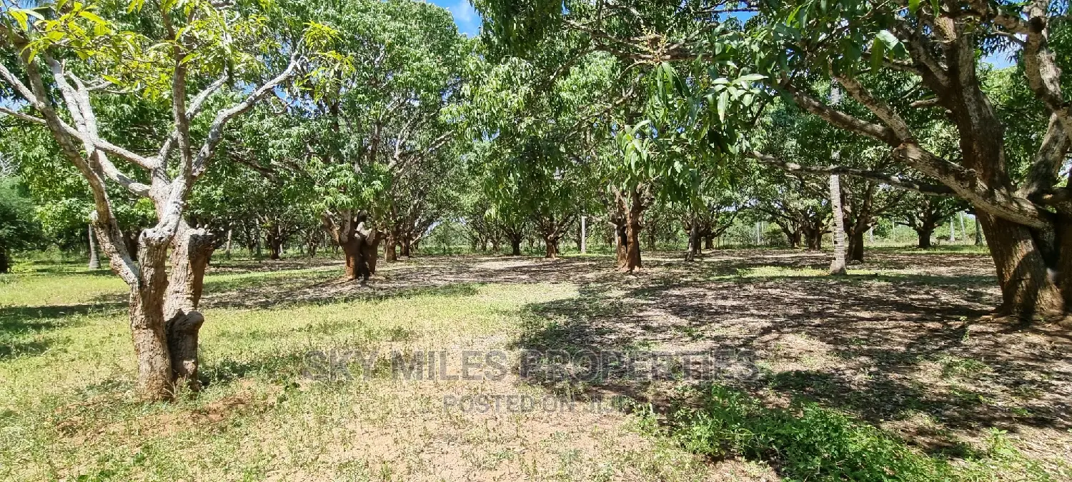 A Prime 8 Acre Land on Sale at Mtwapa