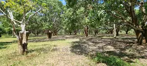 A Prime 8 Acre Land on Sale at Mtwapa