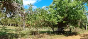 A Prime 8 Acre Land on Sale at Mtwapa
