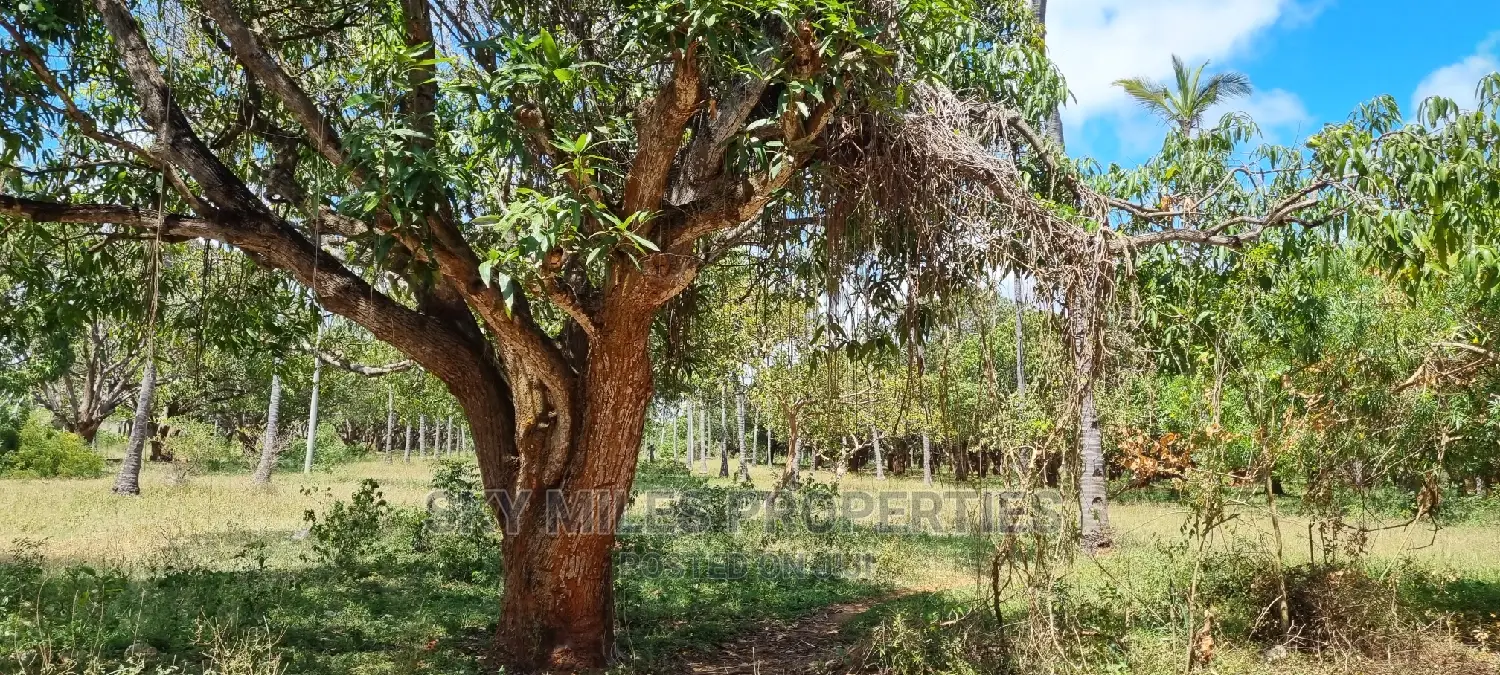 A Prime 8 Acre Land on Sale at Mtwapa