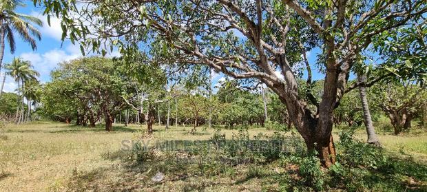 A Prime 8 Acre Land on Sale at Mtwapa - thumbnail 6