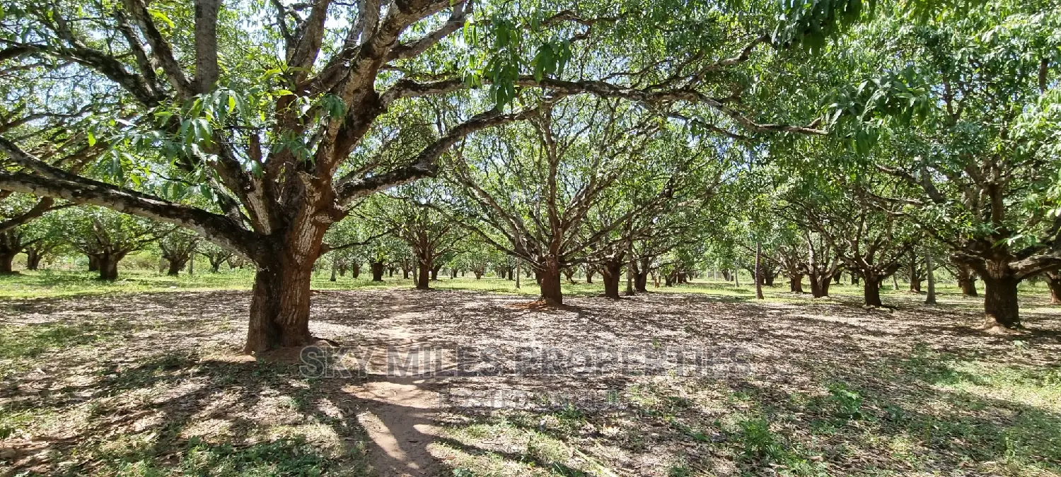 A Prime 8 Acre Land on Sale at Mtwapa