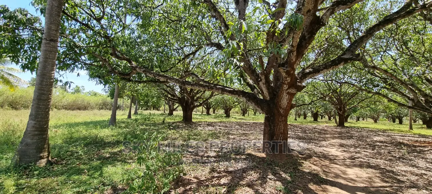A Prime 8 Acre Land on Sale at Mtwapa
