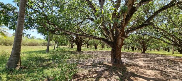 A Prime 8 Acre Land on Sale at Mtwapa - thumbnail 18