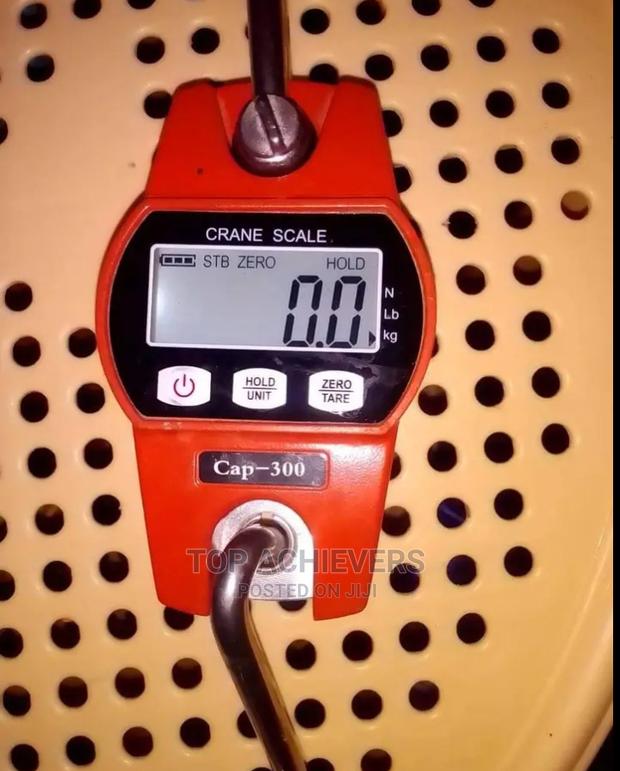 300kg Hanging Scale