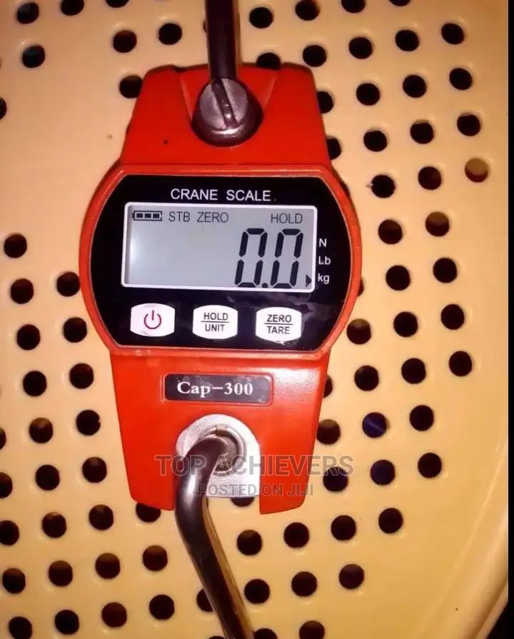 300kg Hanging Scale