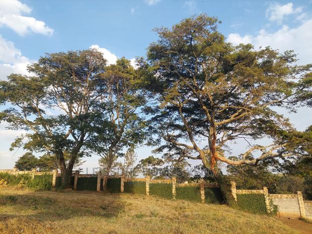 1/8 Acre Golf Front Plot - thumbnail 6