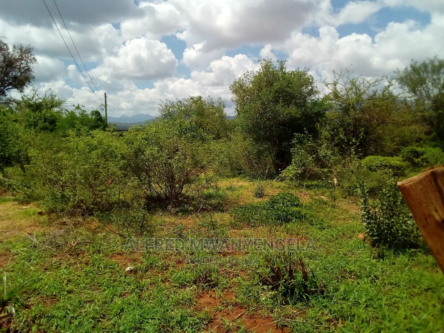 50 by 100 Plot for Sale at Majengo Mapya Kasarani Mnaoni in Kaloleni
