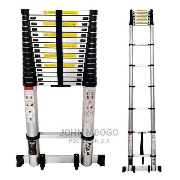 Single Telescopic Ladder . - main view
