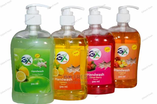 Portable HANDWASH - main view