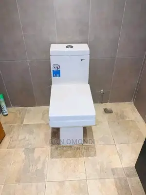 Plumbing Expert