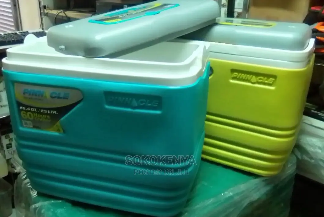 Cooler Box 25 Litre With Detachable Lid for Ease of Handling in Nairobi