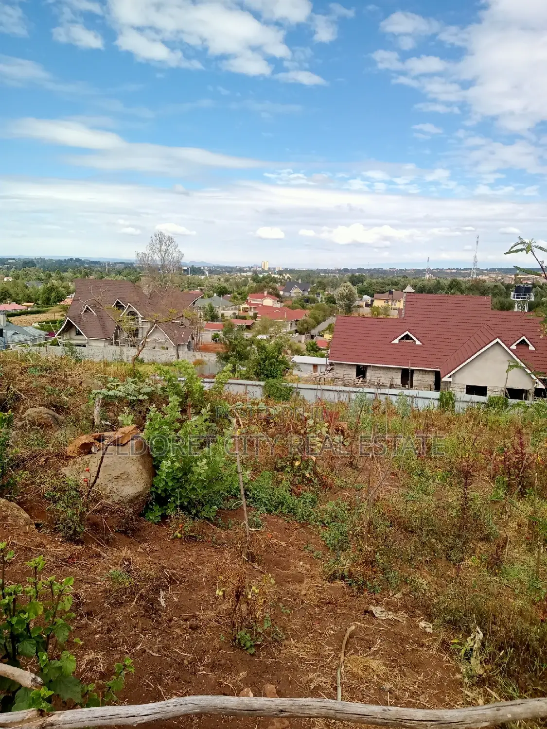 1/2 Acre Hillside