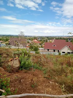 1/2 Acre Hillside