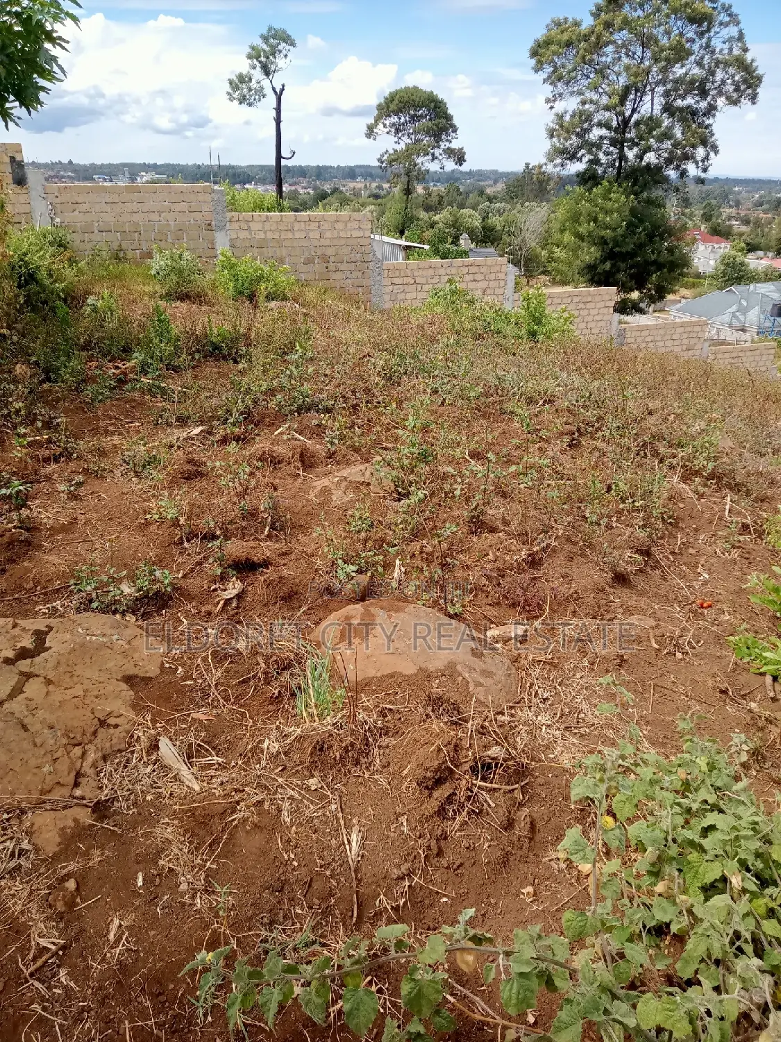 1/2 Acre Hillside