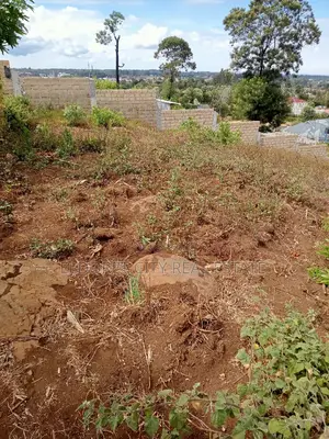 1/2 Acre Hillside