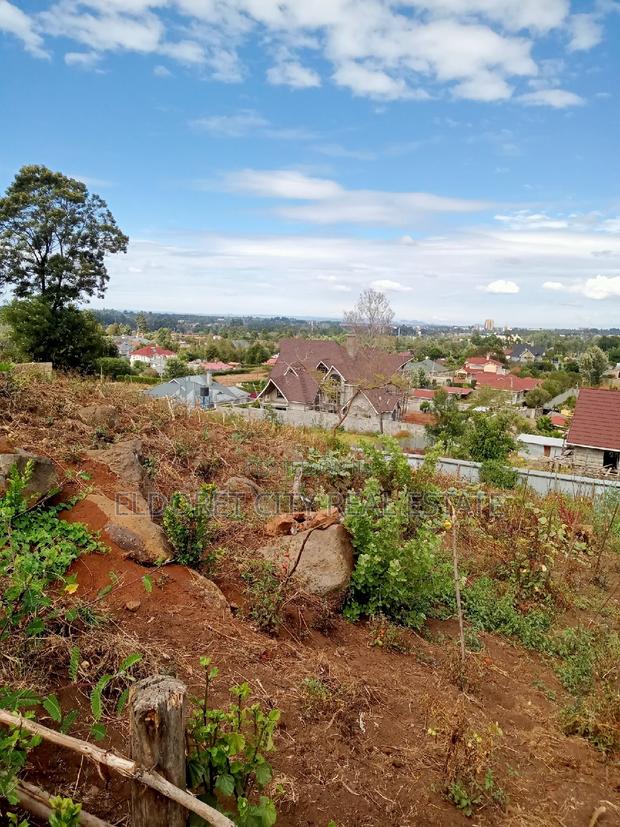 1/4 Plots Hillside Estate