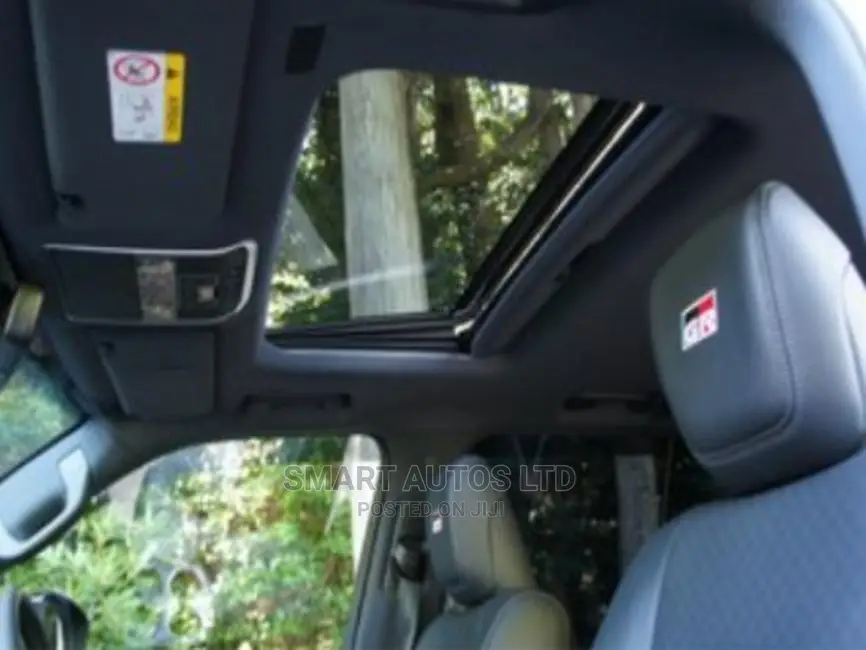 New Toyota Land Cruiser 2021 Gray