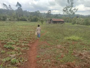 2 Acres Karatina /Hiriga