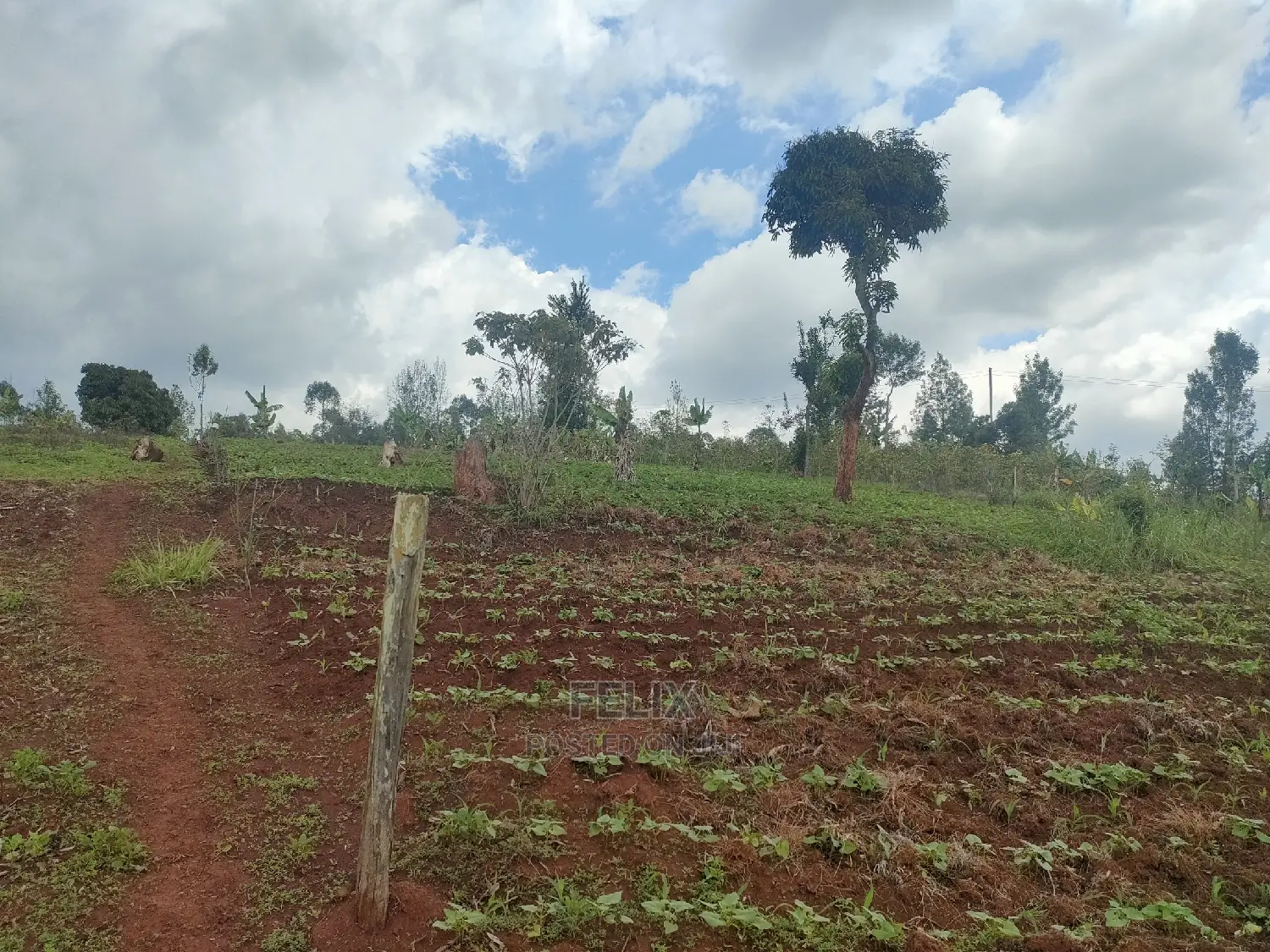 2 Acres Karatina /Hiriga