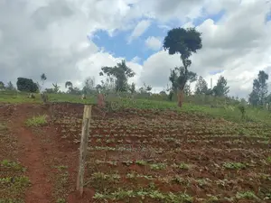2 Acres Karatina /Hiriga