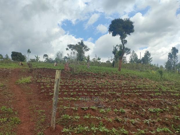 2 Acres Karatina /Hiriga - thumbnail 4