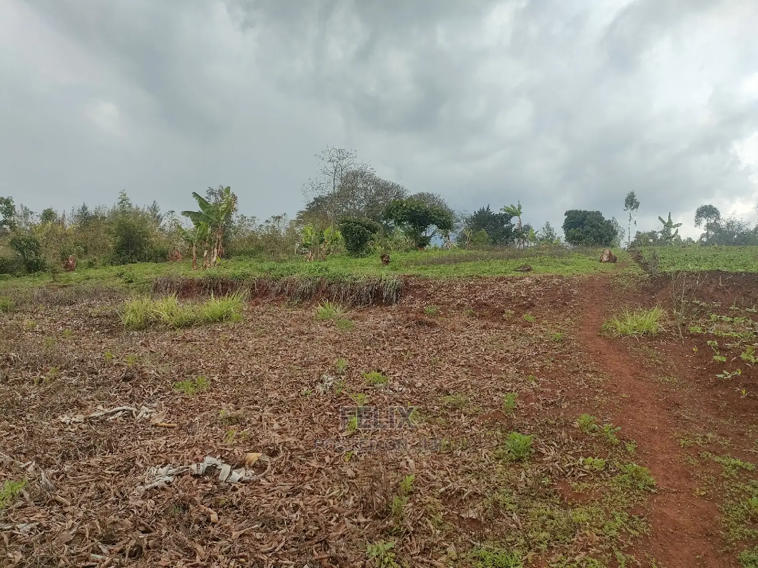 2 Acres Karatina /Hiriga