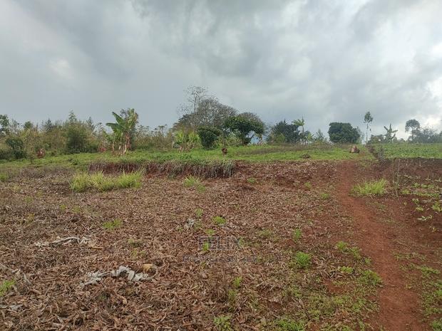 2 Acres Karatina /Hiriga - thumbnail 6