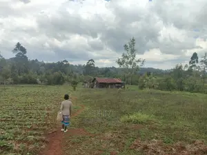 2 Acres Karatina /Hiriga
