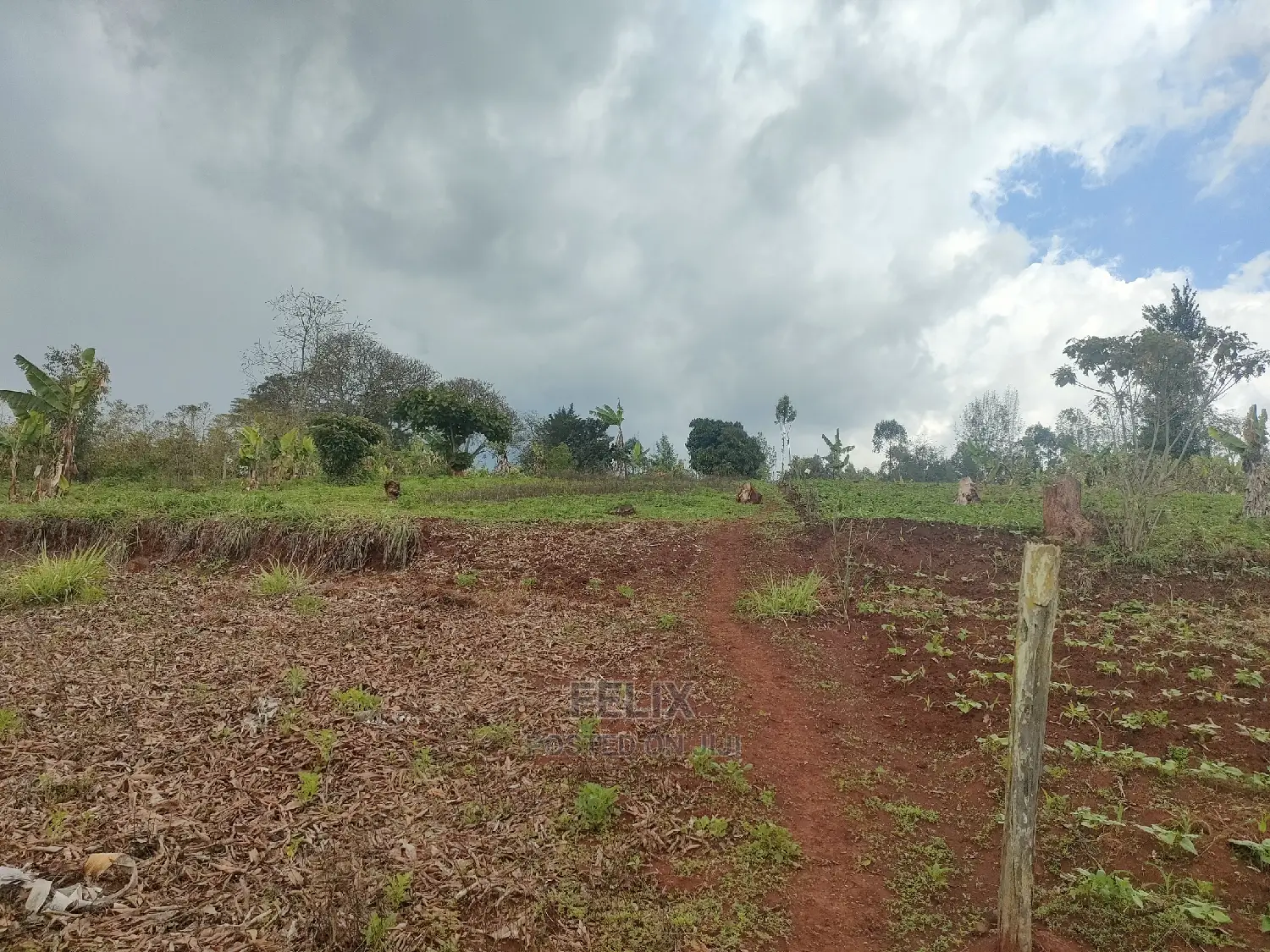 2 Acres Karatina /Hiriga