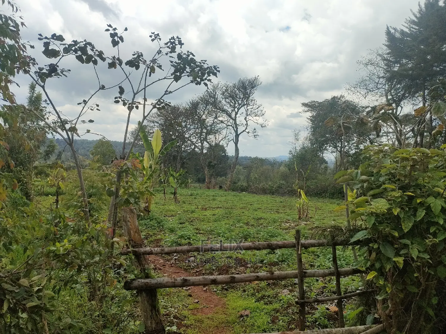 2 Acres Karatina /Hiriga